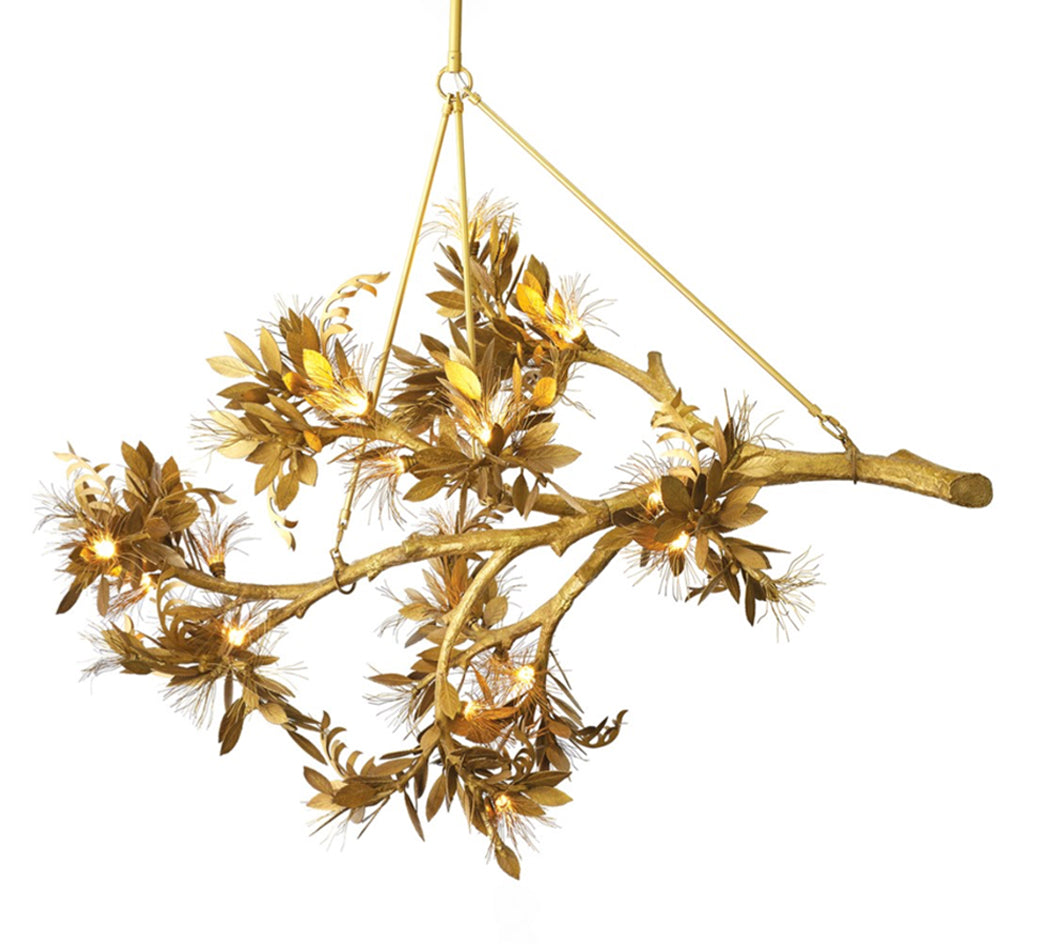 Albizia Chandelier